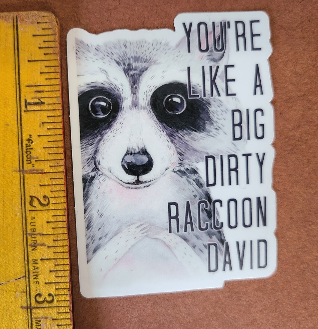 You're Like a Big Dirty Raccoon David